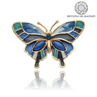 0065533_broszka-na-magnes-br97216_500