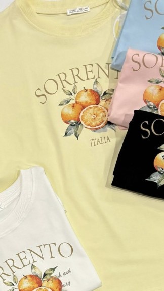 Nebyl vybrán žádný obrázek 